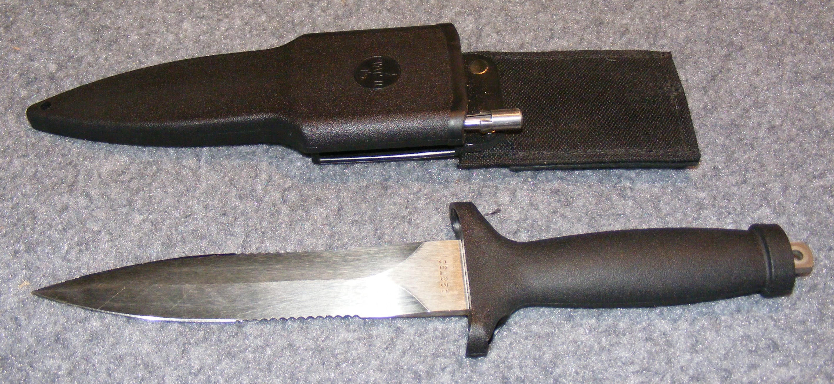 TacII.1.JPG